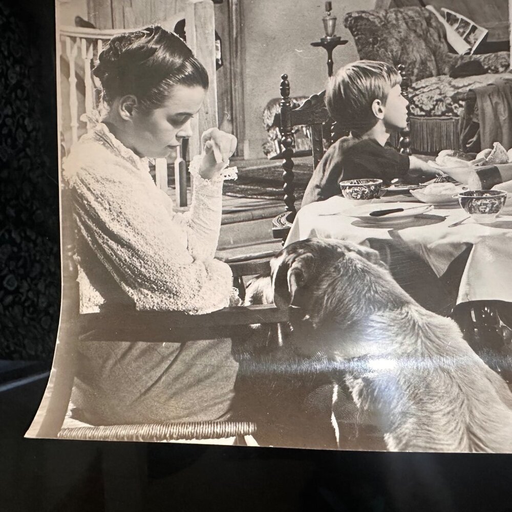 Vintage 7x9 Photo From "A Dog Of Flanders" Movie Scene - Picture 9 of 13